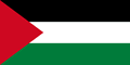 tn_palestine-flag